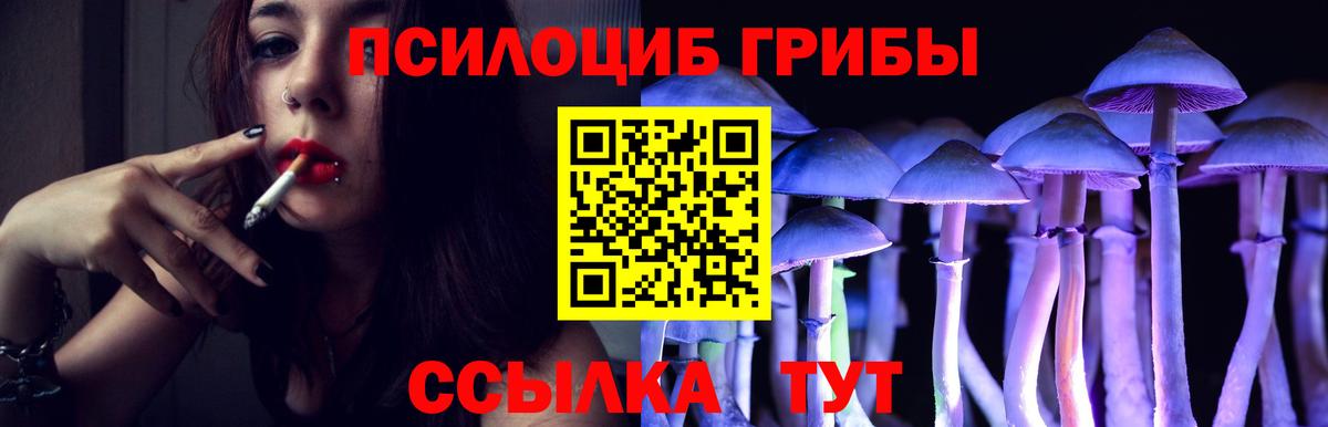 Галлюциногенные грибы мицелий  Вход с VPN  Галлюциногенные грибы Psilocybe  Баксан 